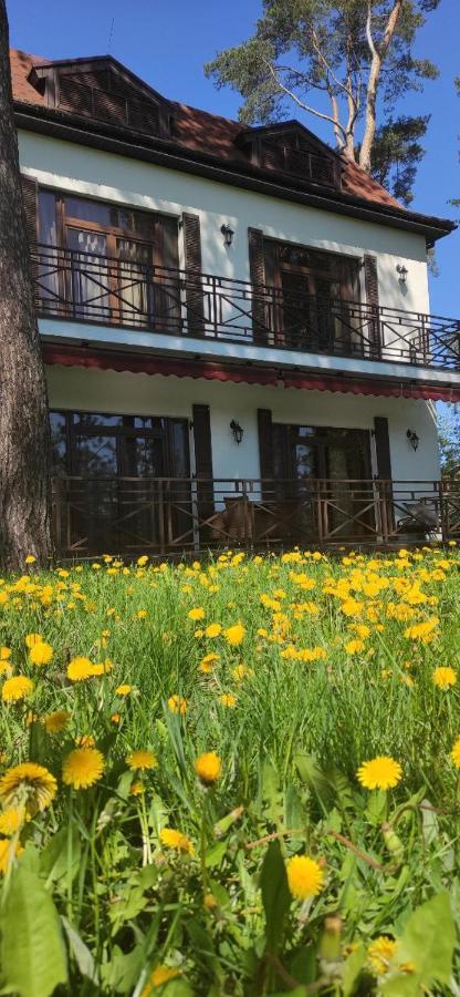 Park-Hotel Kidev Čubynske Exteriér fotografie