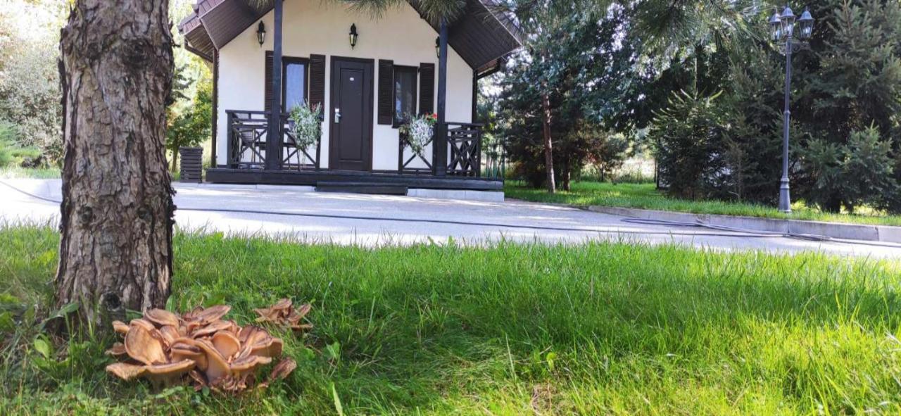 Park-Hotel Kidev Čubynske Exteriér fotografie